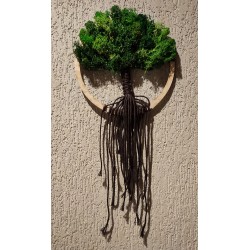 Makramowe drzewko szczęścia z mchem chrobotkiem - wysokość 40 cm / średnica 16 cm, sznurek brązowy